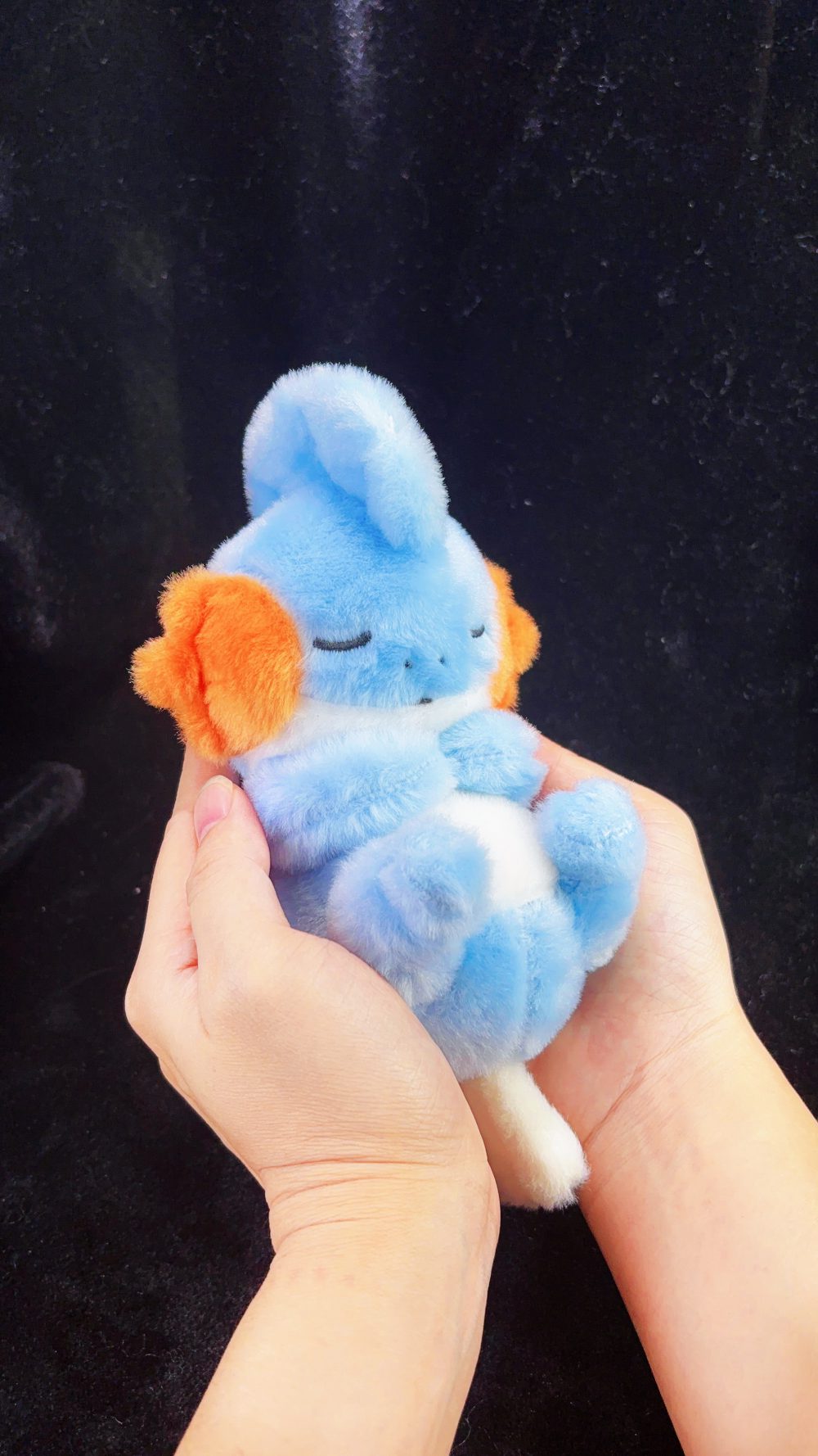 「Pre-order」15cm Mudkip Plush, shipping in Aug-Sep - Image 8