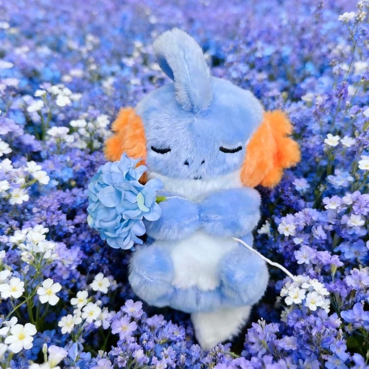 「Pre-order」15cm Mudkip Plush, shipping in Aug-Sep